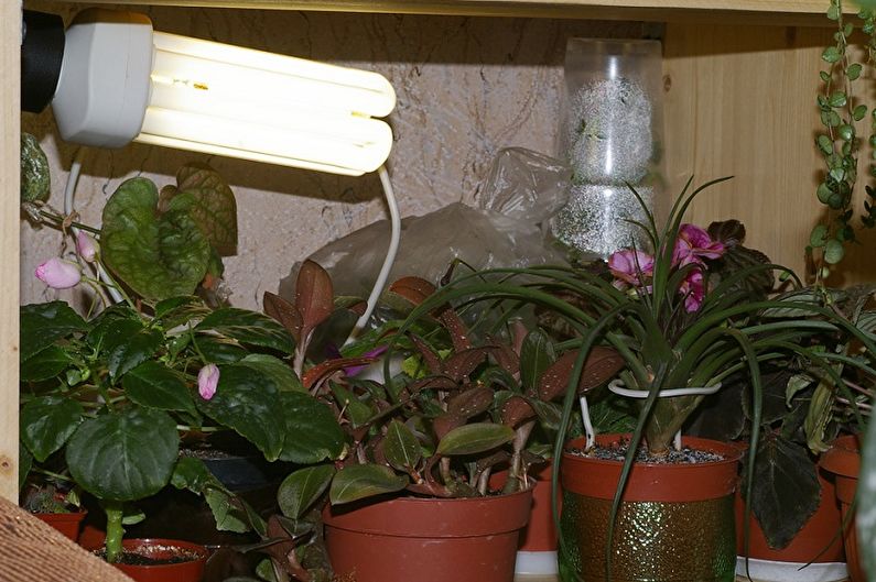 Lampen voor planten - Energiezuinige lampen