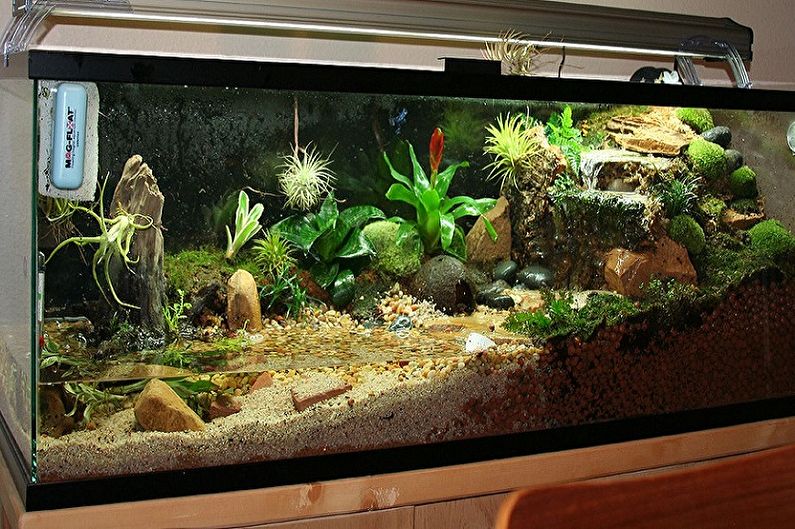 Lamps for plants - Aquarium lamps