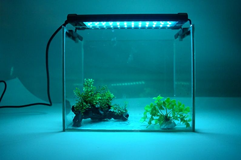 Lamps for plants - Aquarium lamps