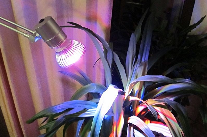 Hoe een lamp voor planten te kiezen