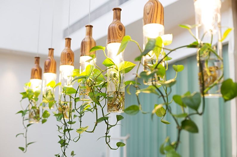 Lamps for plants - photo