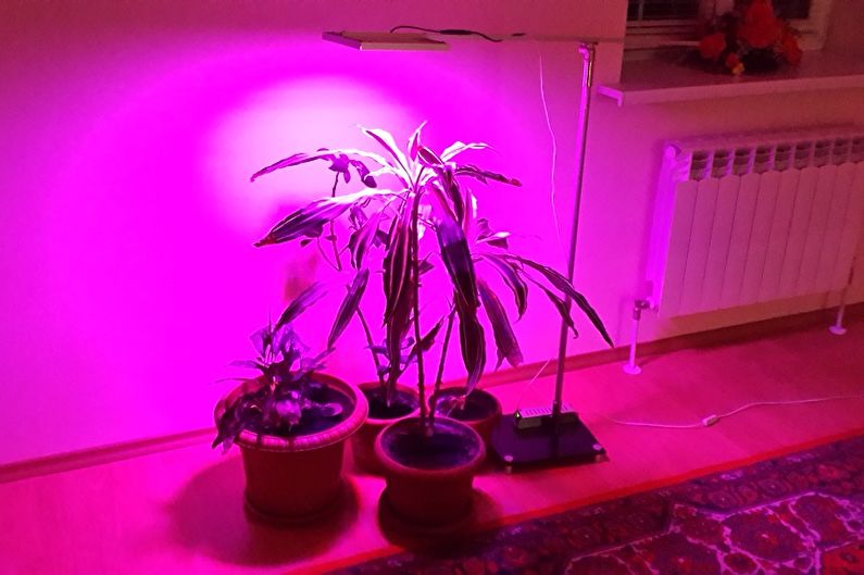 Lampen voor planten - foto