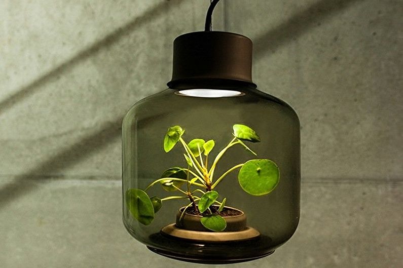 Lamps for plants - photo