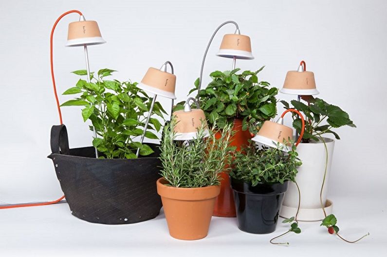 Lamps for plants - photo