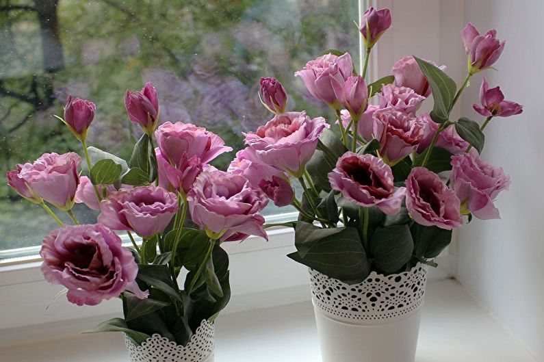 Eustoma (lisianthus) - fotografie