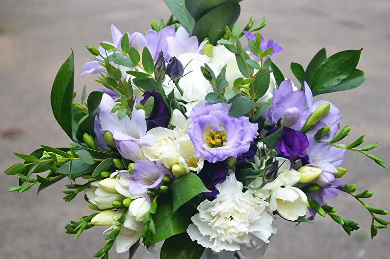 Eustoma (lisianthus) - valokuva