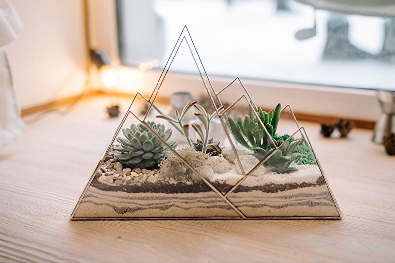 DIY Florarium - Desierto