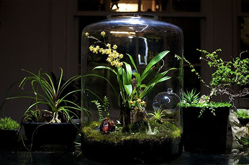 DIY Florarium - rainforest