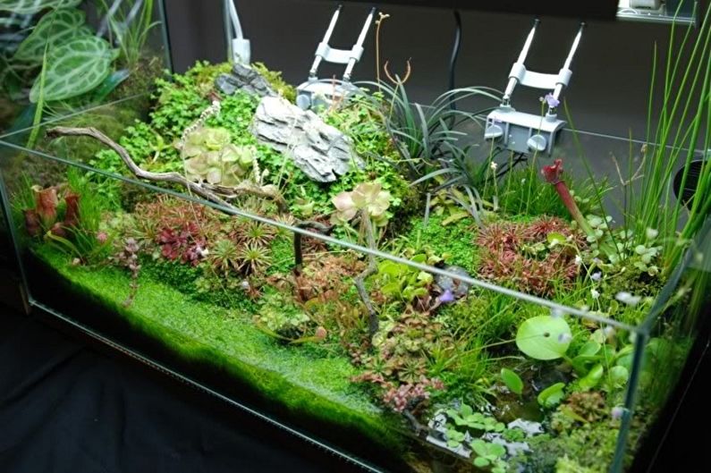 DIY Florarium - ป่าฝน