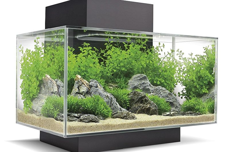 DIY Florarium - Mga Bundok