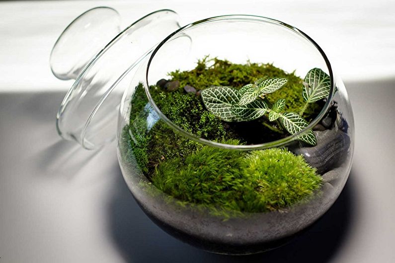 DIY Florarium - Florarium com Musgo