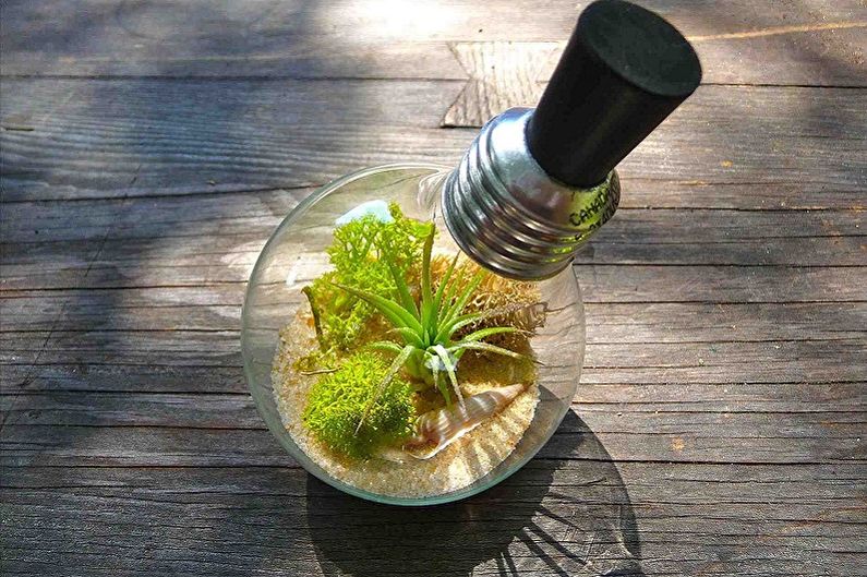 DIY Florarium - Dalam mentol