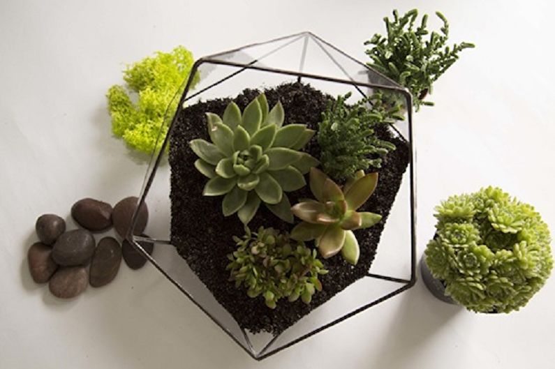 Cara membuat florarium do-it-yourself