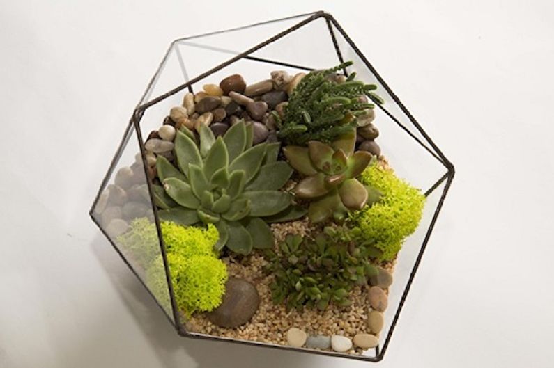 How to make a do-it-yourself florarium