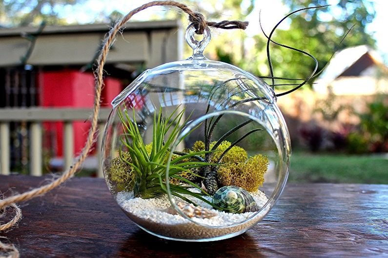 DIY Florarium - Photo Ideas