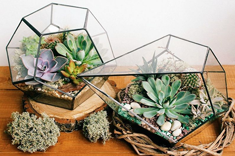 DIY Florarium - Photo Ideas