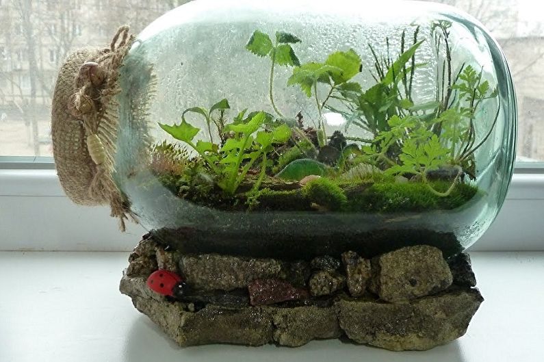 DIY Florarium - pomysły fotograficzne