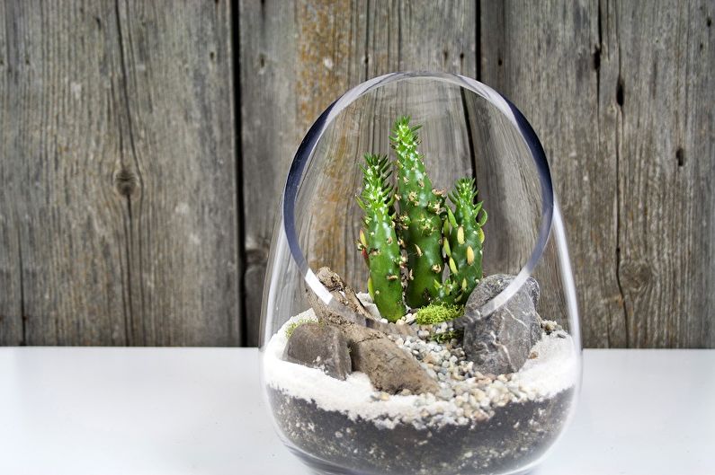 DIY Florarium - Fotoidéer