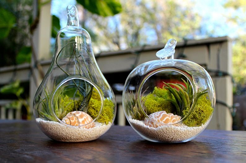 DIY Florarium - Idéias para fotos