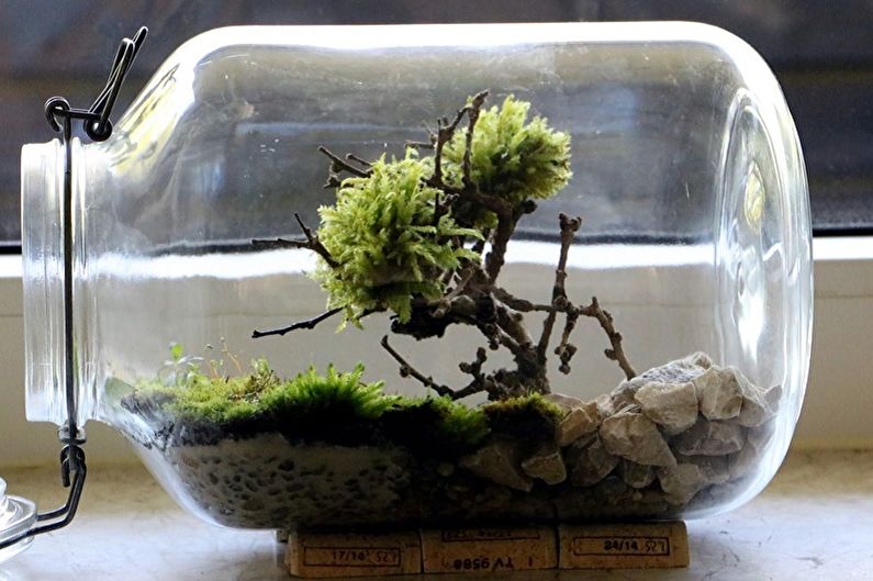 DIY Florarium - Photo Ideas