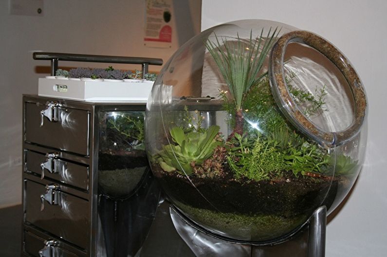 DIY Florarium - Idea Foto