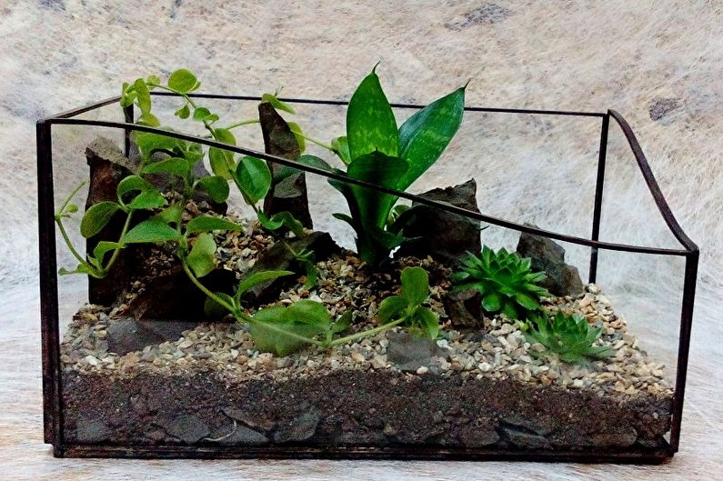 DIY Florarium - Idéias para fotos