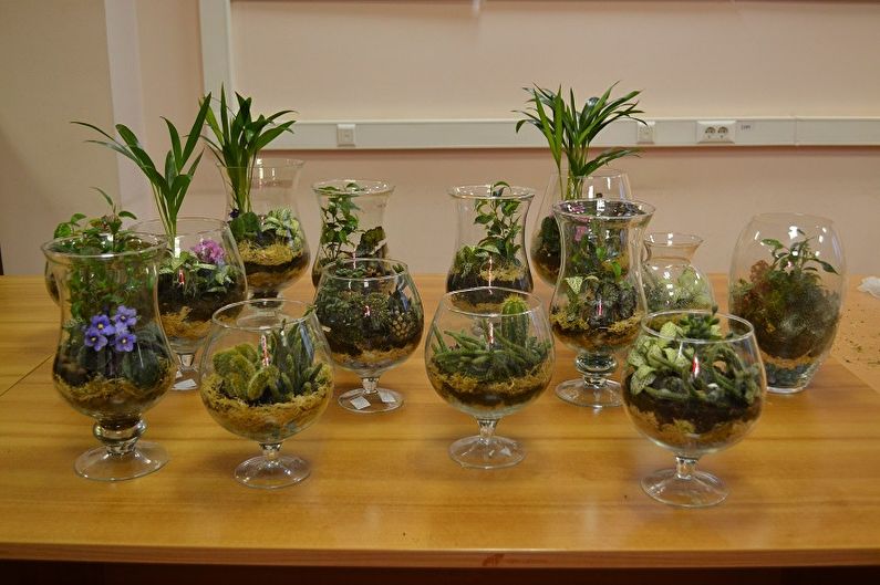 DIY Florarium - Photo Ideas