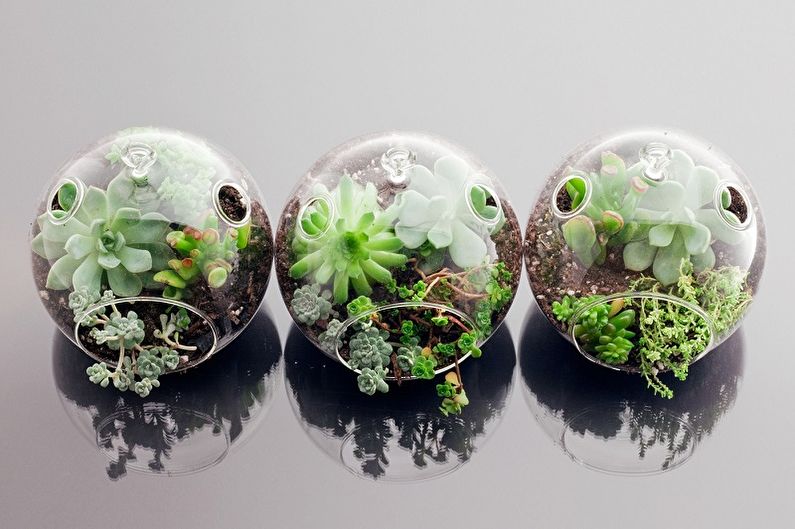 DIY Florarium - Fotoidéer