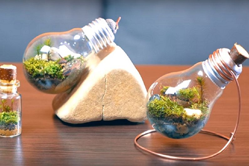 DIY Florarium - Mga ideya sa Larawan