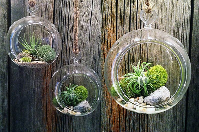 DIY Florarium - Photo Ideas