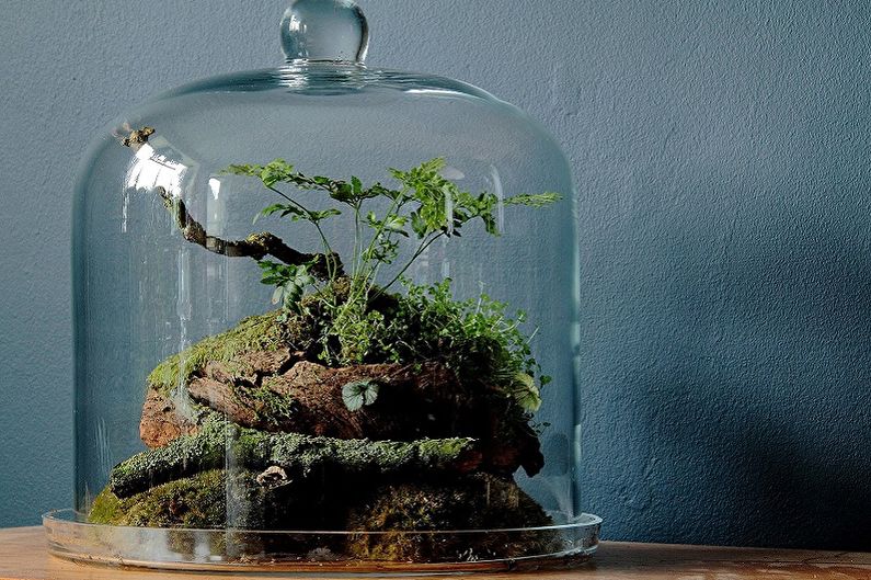 DIY Florarium - foto-ideeën