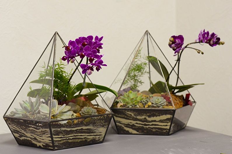 DIY Florarium - Photo Ideas