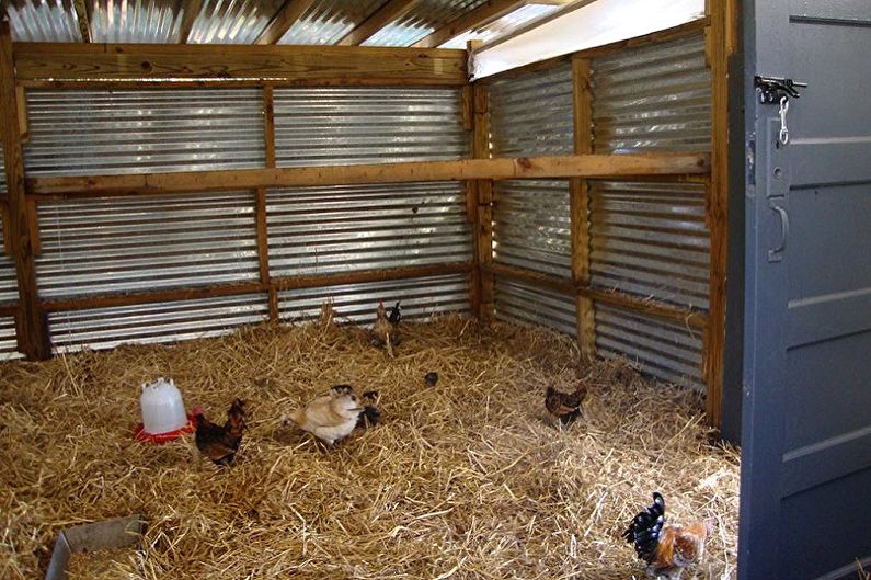 Rodzaje DIY Chicken Coops - Barn