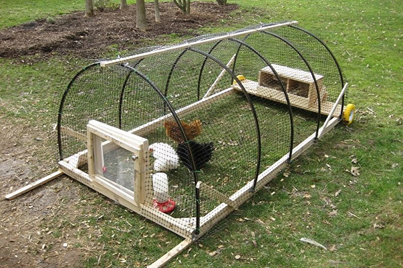 Tipus de gallines de bricolatge - Canopies de carrer