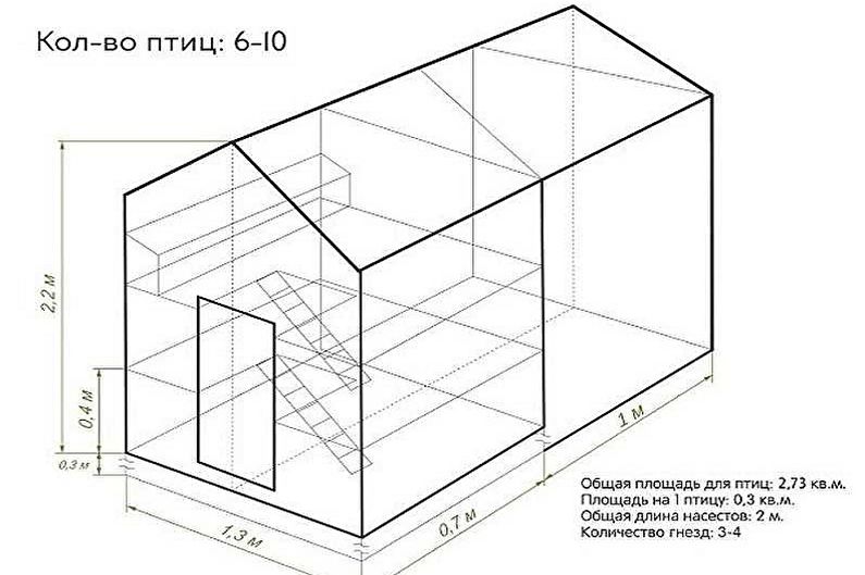 Étapes de construction d'un poulailler à faire soi-même - Disposition