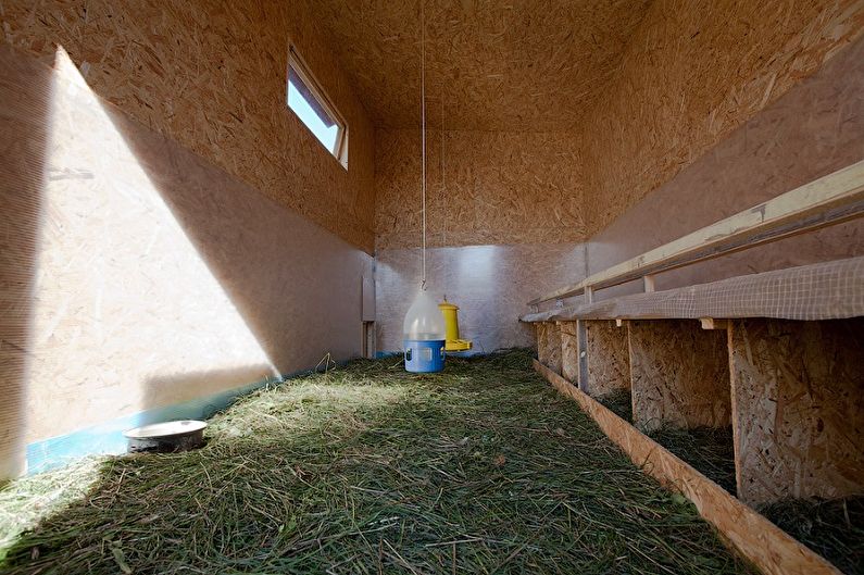 DIY Chicken Coop: sexe en la galliner