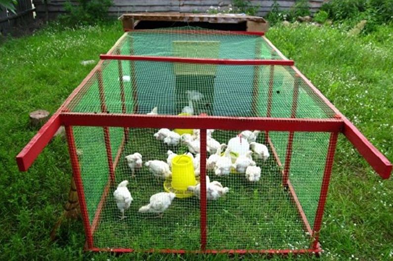 Do-it-yourself chicken coop - photo