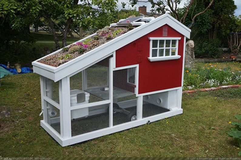 Do-it-yourself chicken coop - photo