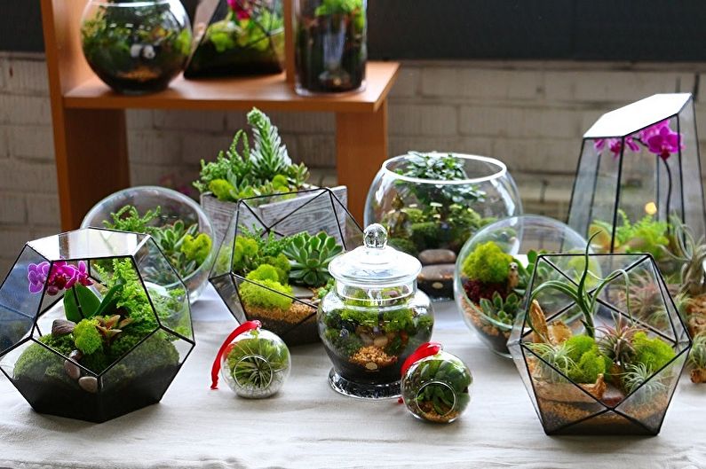 85+ idées de florarium à faire soi-même (photo)