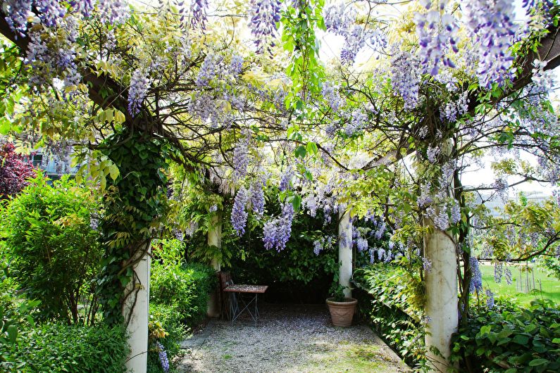 Porturi din plante - fotografie