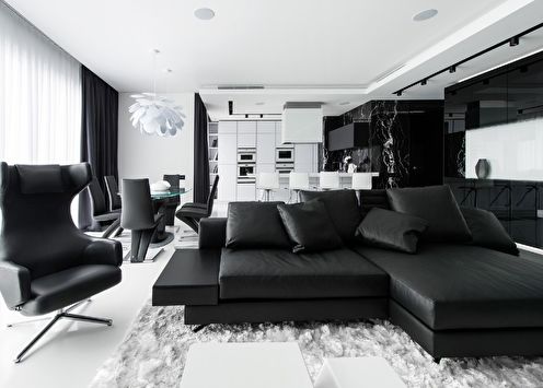 Color blanco y negro en el interior (90 fotos)