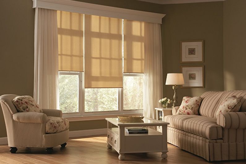 Roller blinds for the living room - photo