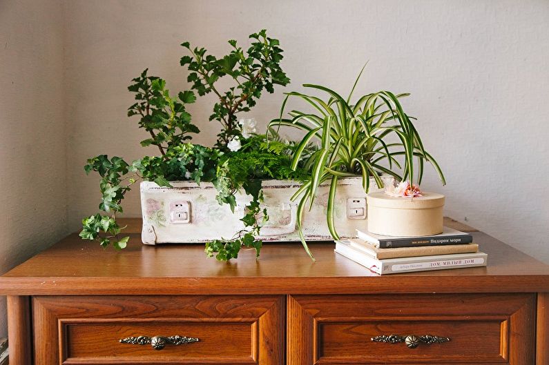 Pot de fleur bricolage dans une valise