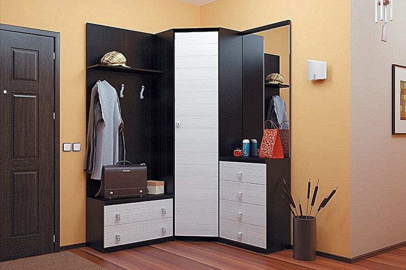 Wardrobe in the hallway interior