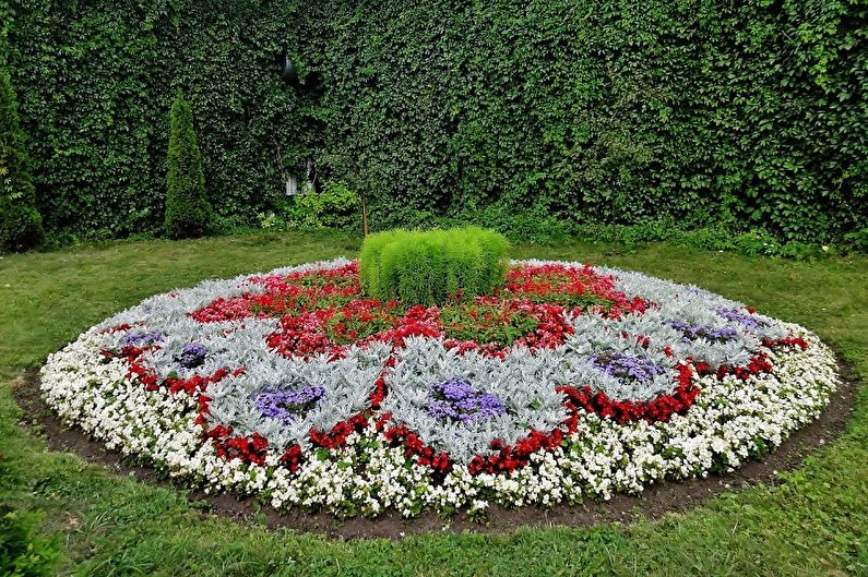 Parterre de fleurs DIY - Règles pour choisir les couleurs