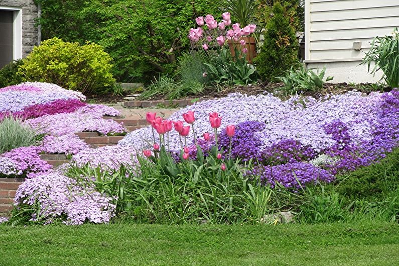 Flors perennes per al jardí i l'estiu - Els avantatges de la plantació