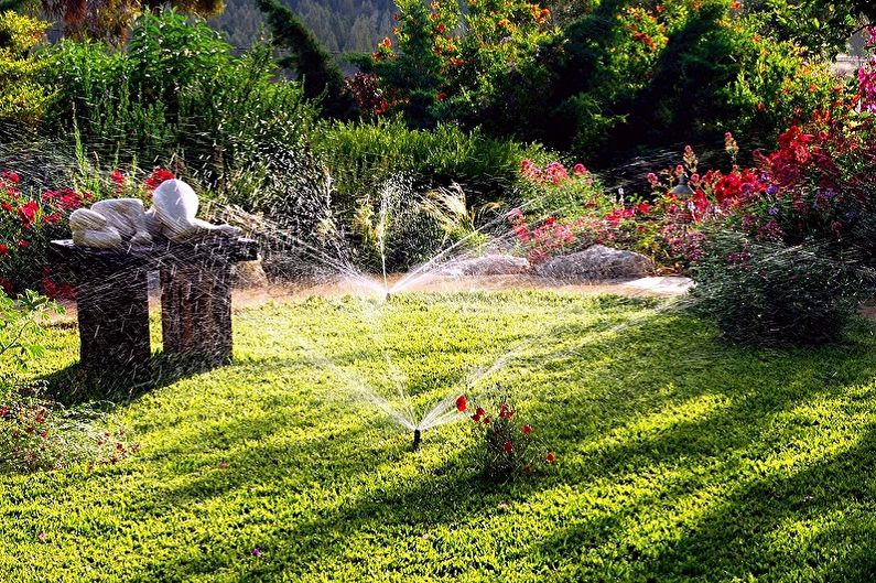 Fleurs vivaces pour le jardin et le jardin - Soin