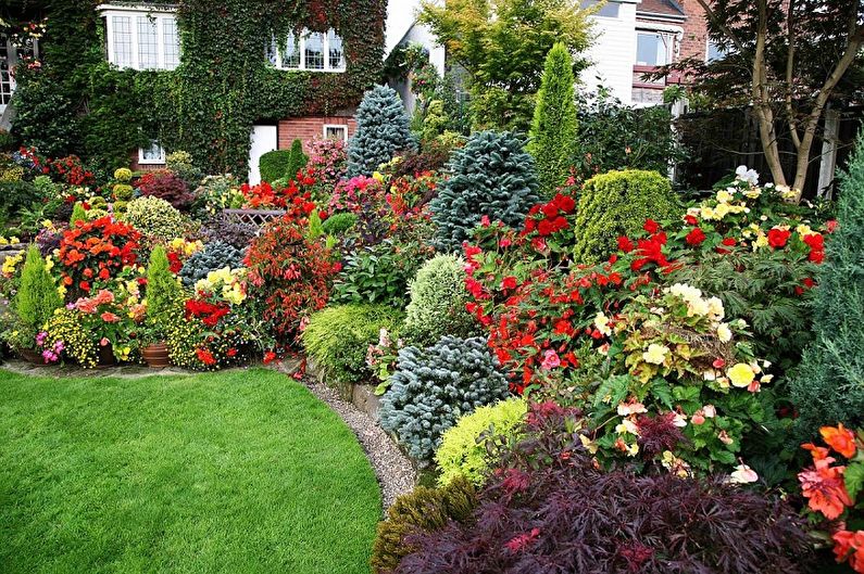 Hur man gör en blomsterbädd av fleråriga blommor för att ge och trädgård