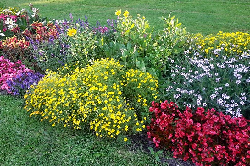 Wie man ein Blumenbeet aus mehrjährigen Blumen zum Geben und Gärtnern macht