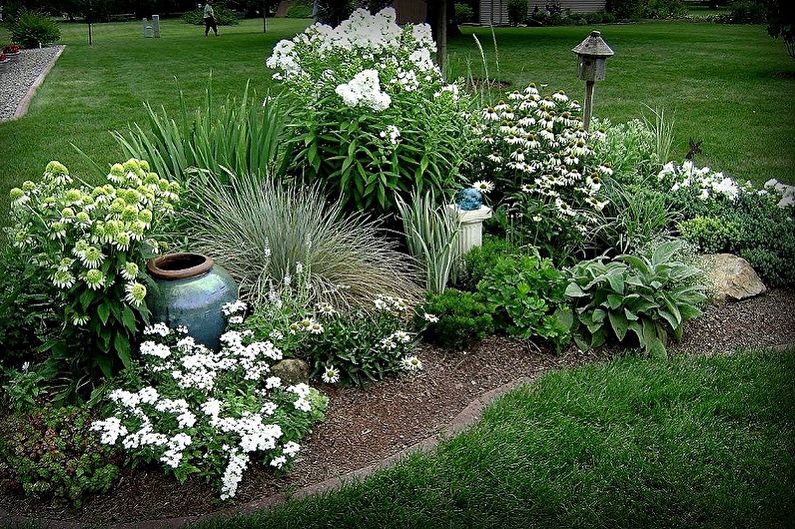 Mehrjährige Blumen für Garten und Garten - Foto